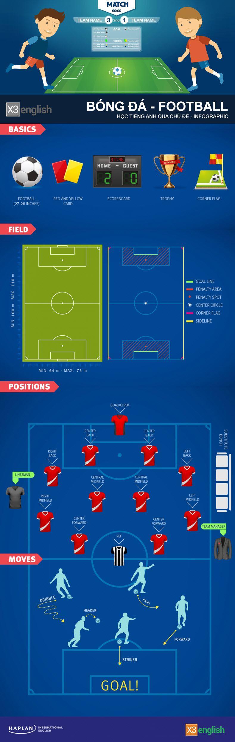 Bóng đá - Football - Infographic