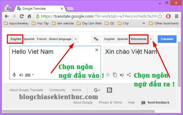 dịch tiếng Anh