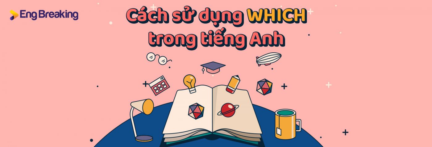 cách dùng which